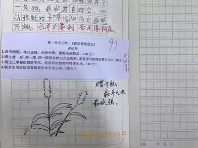 描写同学画画好的作文