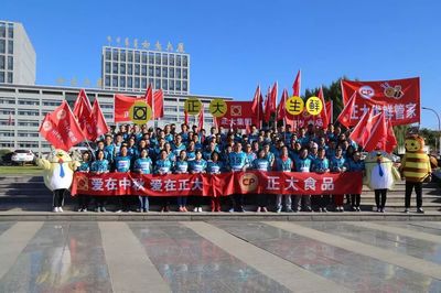 团队活动口号