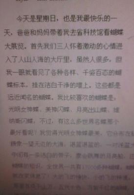 小学生作文450字