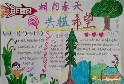 数学节口号标语