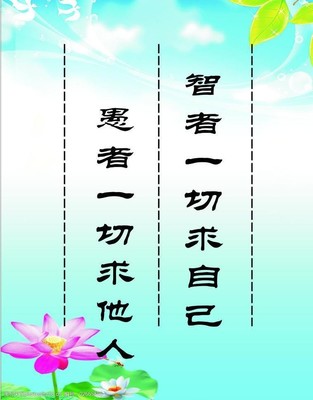 数学节口号标语