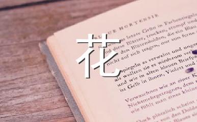 我的校园作文200字