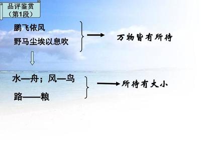 逍遥游教案优秀教案