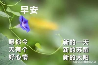 周末早安心语一句话