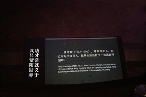 武昌起义观后感