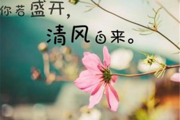 比喻爱情的句子