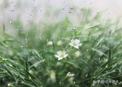 描写夏天的雨的诗