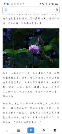 荷塘月色感悟