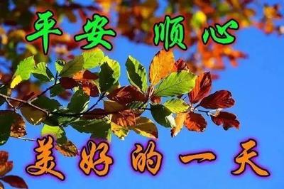 盲人励志语录