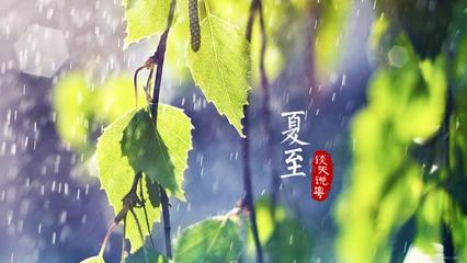 描写夏天的雨的诗