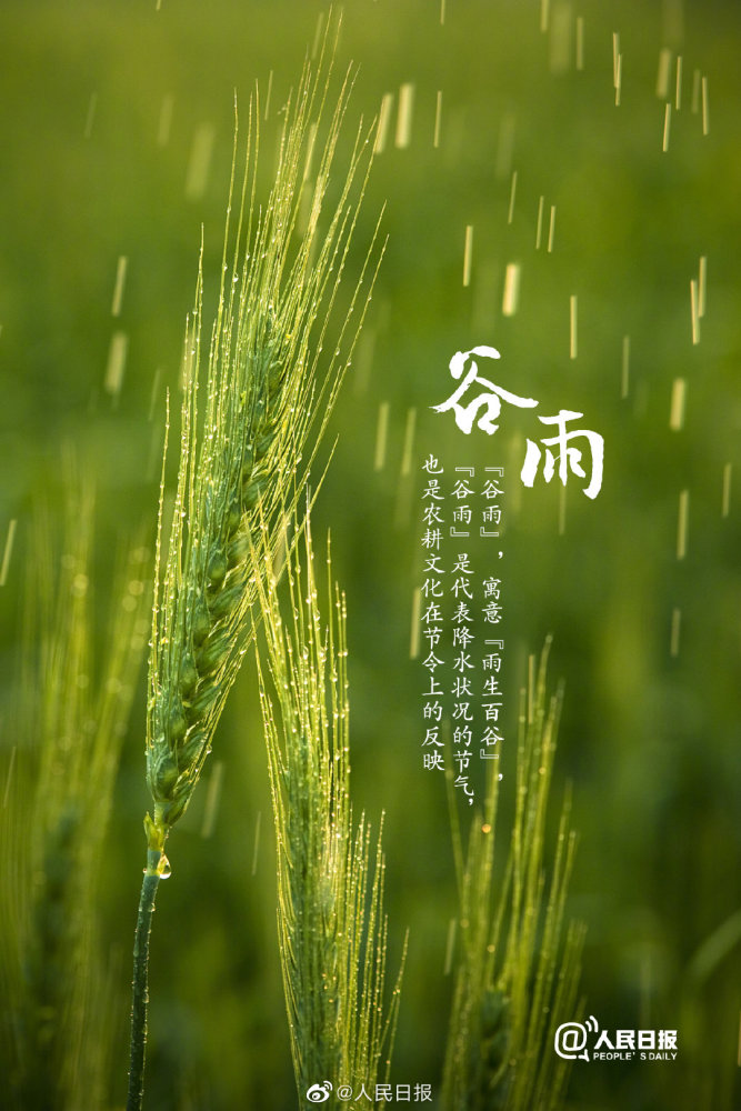 描写夏天的雨的诗