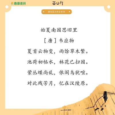 描写夏天的雨的诗