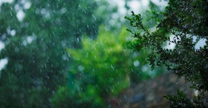 描写夏天的雨的诗