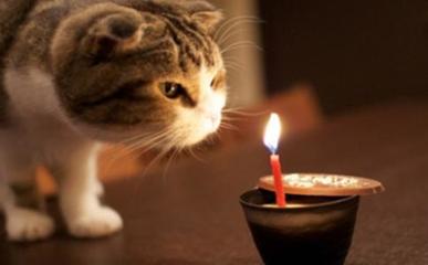 一句话祝自己生日快乐