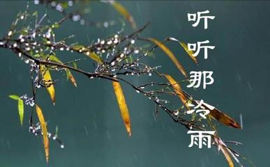 听听那冷雨感悟