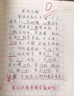 有趣的作文200字