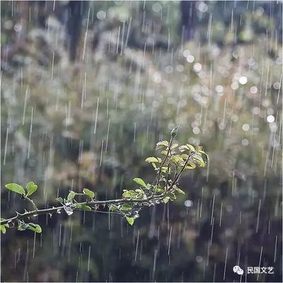 听听那冷雨感悟