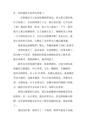 有趣的作文200字