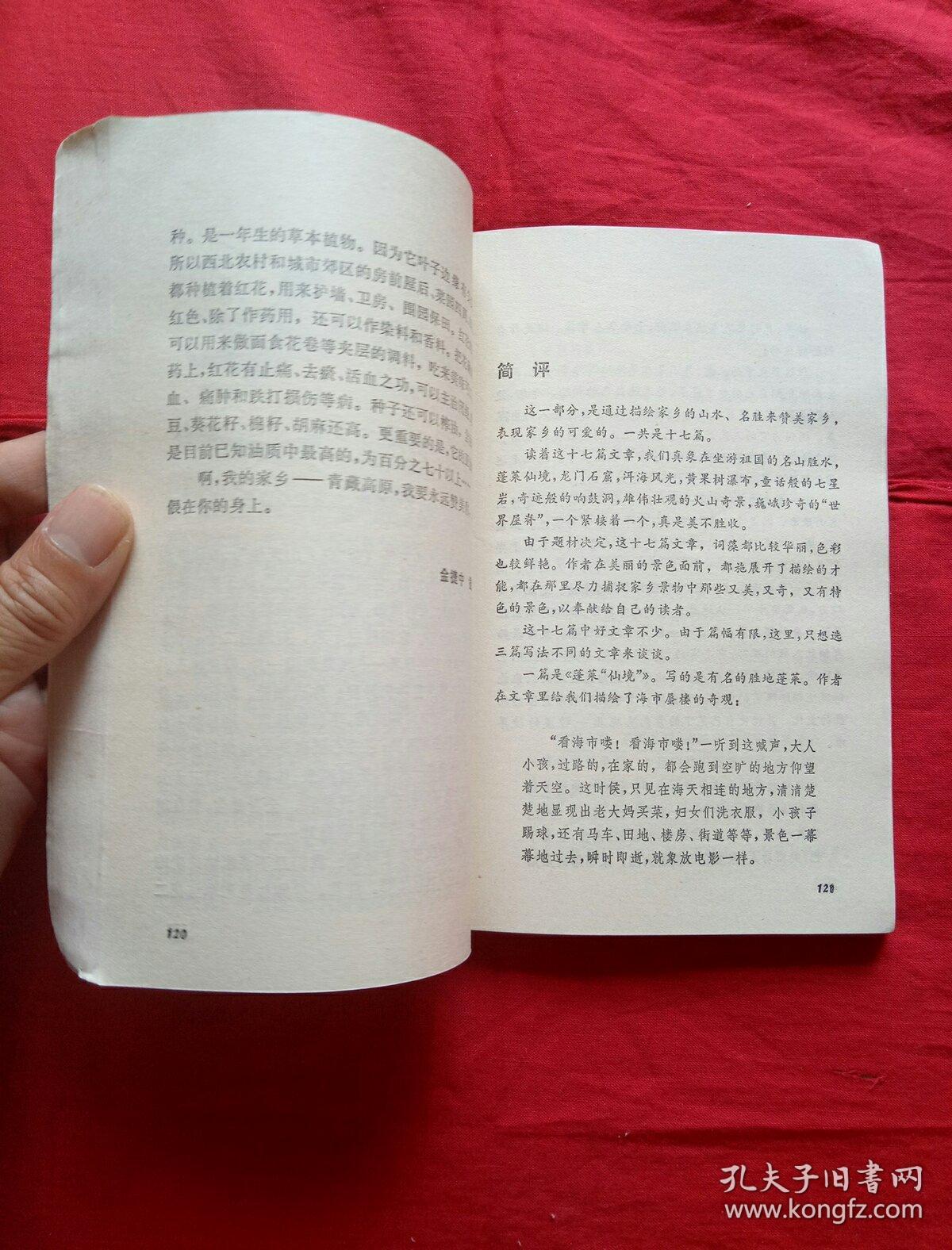 赞美家乡征文
