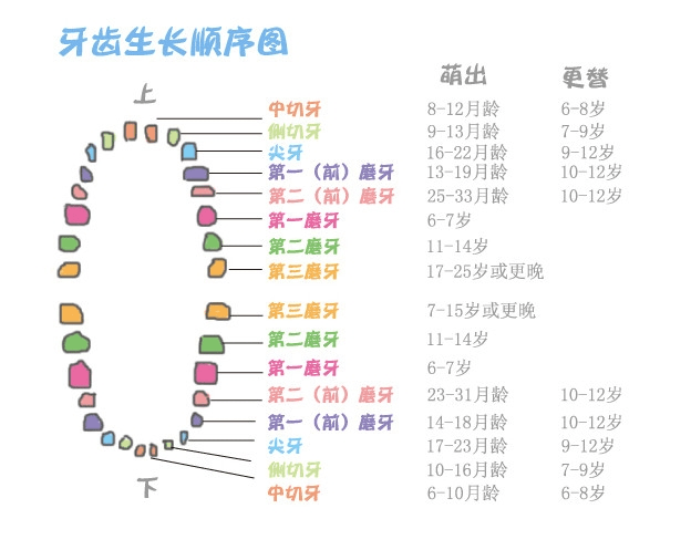 儿童年龄划分