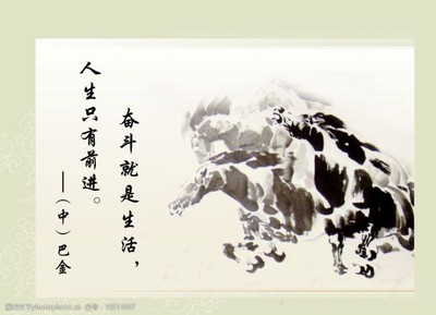 有关梦想的格言