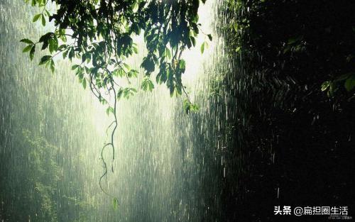 听雨感悟人生