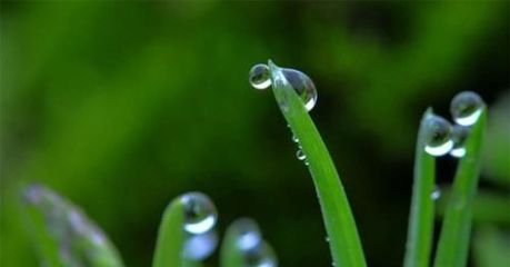 听雨感悟人生