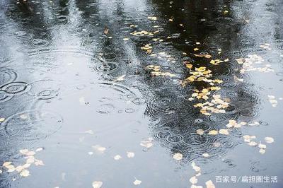 听雨感悟人生