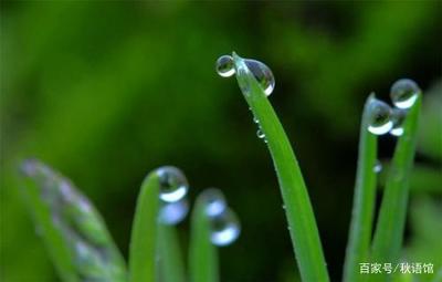 听雨感悟人生
