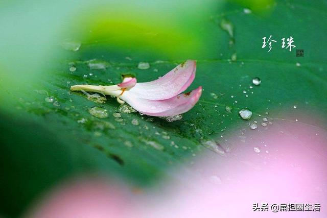 听雨感悟人生
