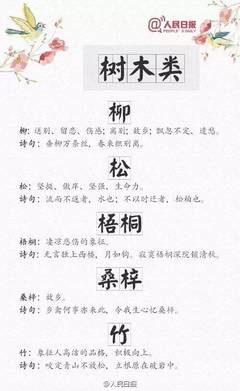 优美诗句 爱情