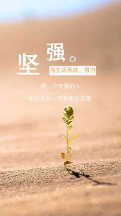 做一个有梦想的人