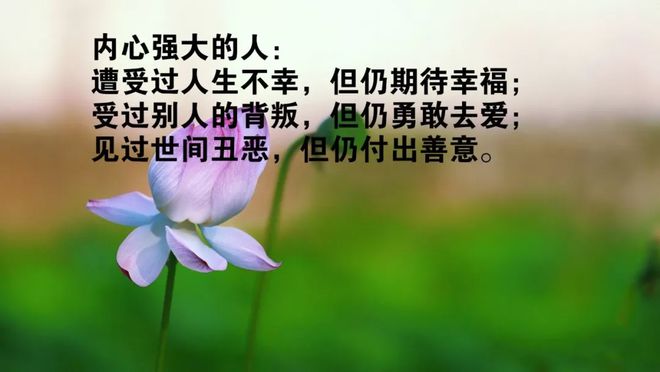 努力白费的经典语句