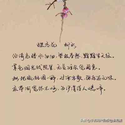 关于爱情的名字