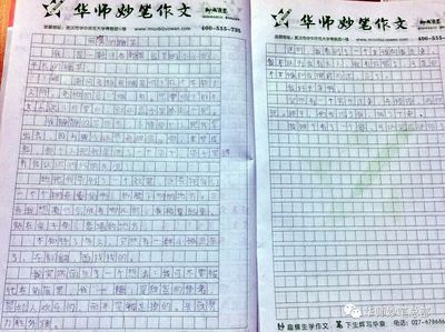 同学的陪伴作文600字