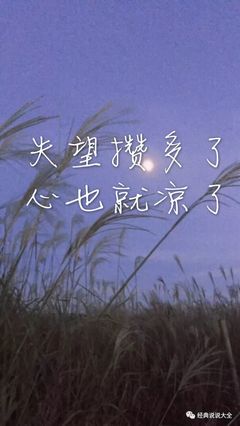 语录情感