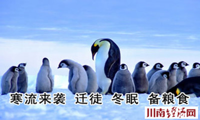 冬天有什么动物冬眠