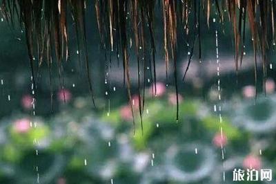 夏天来了写一段话