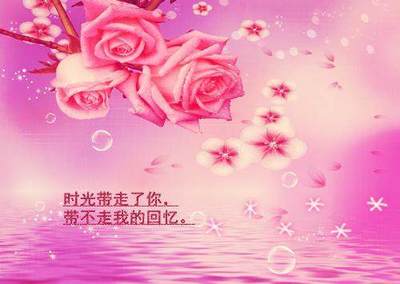 相信爱情的诗句