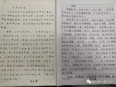 关于教育的美文