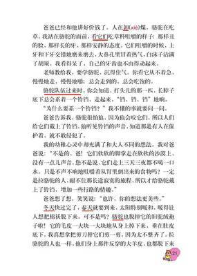 童年冬阳骆驼队课文