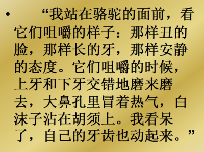 童年冬阳骆驼队课文
