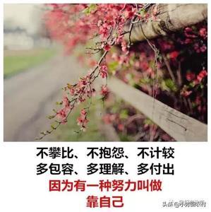 不抱怨一切靠自己感悟