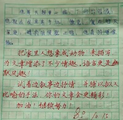老师简短评语