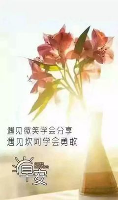 不抱怨一切靠自己感悟