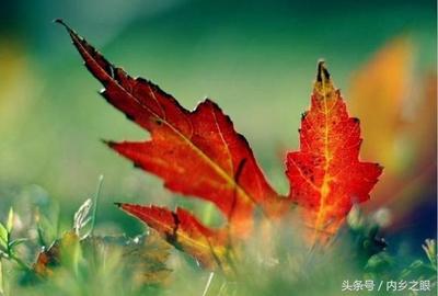 生命逝去的感悟