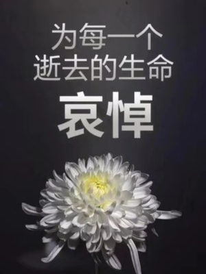 生命逝去的感悟