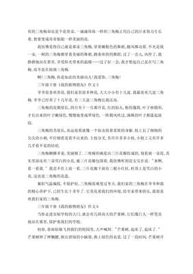 朋友作文300字三年级