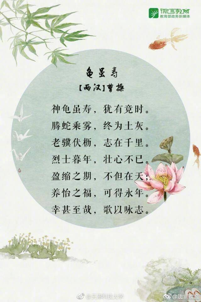 教育语录