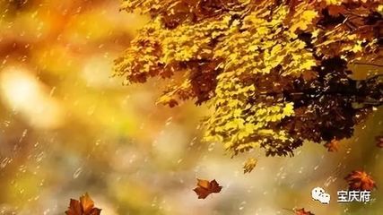 秋天的雨是什么声音